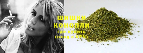 крисы Бронницы