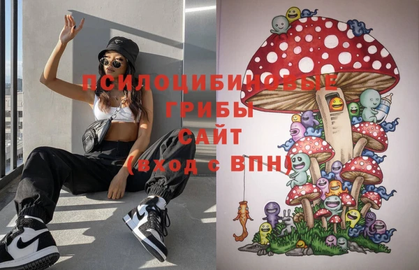 синтетический гашиш Бородино